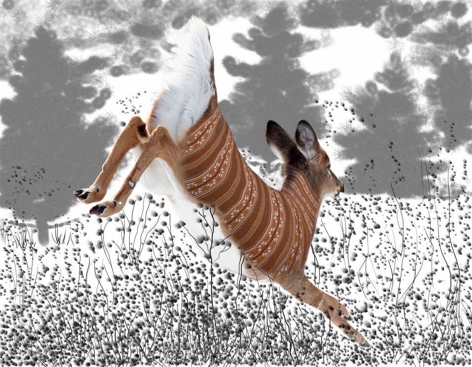 Deer Blanket Photomanipulation